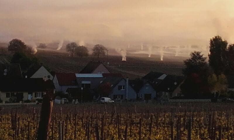 Viticulteurs de Beblenheim - Cave de Beblenheim