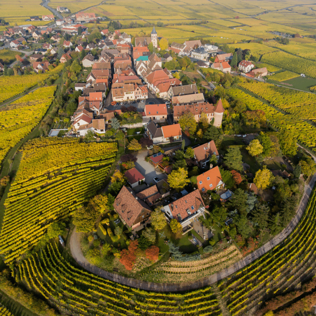 Grand Cru Froehn - Cave de Beblenheim