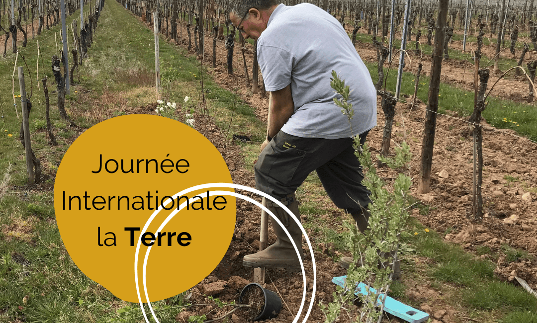 On s'engage - Cave de Beblenheim