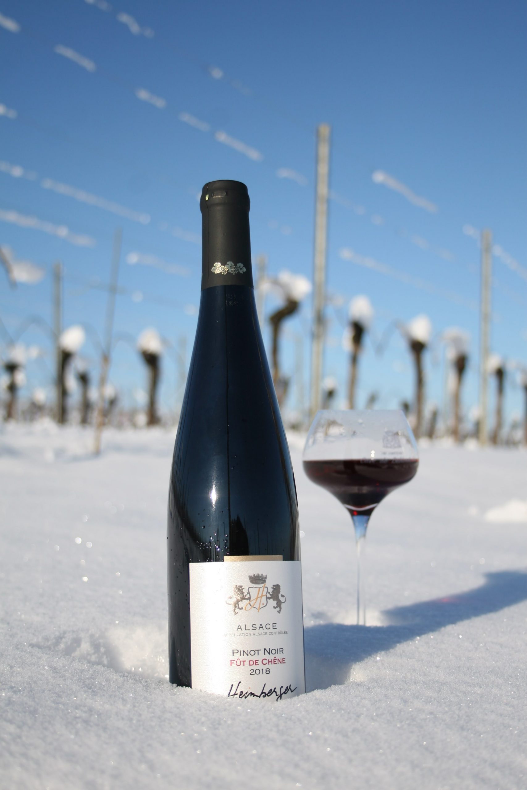 Gamme Pinot Noir - Cave de Beblenheim