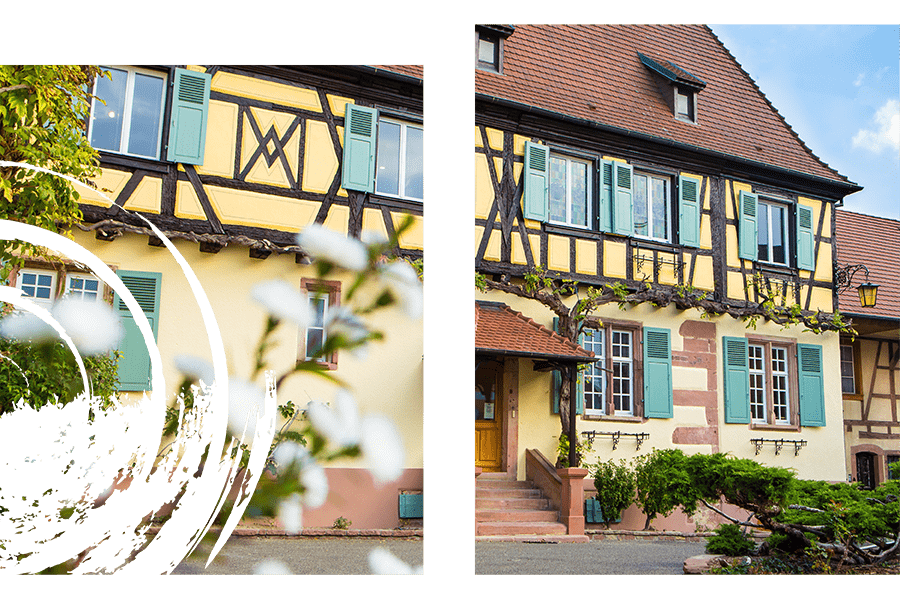 Maison - Cave de Beblenheim