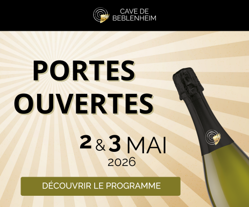 Pop up portes ouvertes 2026